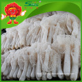 Wholesale Mushroom factory supply Natural Dictyophora